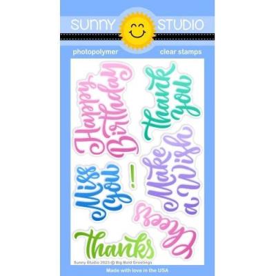 Sunny Studio Clear Stamps - Big Bold Greetings